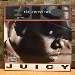The Notorious B.I.G. レコード　バラ売り可 2025年最新】notorious b.i.g レコードの人気アイテム - メルカリ