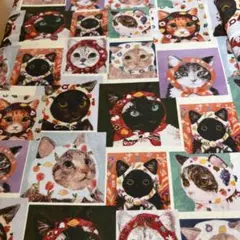 1㍍長カラフル頭巾猫ちゃんの綿プリント生地ハギレ布