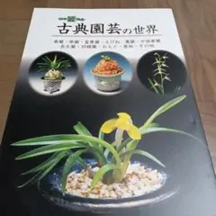 風蘭、富貴蘭図鑑など6冊 まとめて出品 風蘭、富貴蘭図鑑など6冊 まとめて出品 - メルカリ