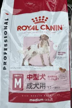 Item thumbnail for item f563dbe1-78a6-4f0d-842f-e56a7ff3601a