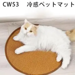 Item thumbnail for item 64b8d5b3-e3f6-4db8-8085-bef73cd596f6