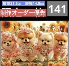 141番 ポメラニアンビッグパネル 各1枚