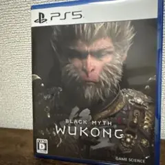 BLACK MYTH WUKONG PS5 黒神話