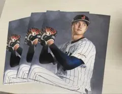 Item thumbnail for item 6d957c4f-0265-4bd8-a0a9-78418f6c0a24