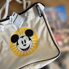 ファンダブルディズニー　会員限定トートバッグ　カレンダー付き