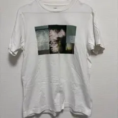 UNIQLO 星野源　写真プリント Tシャツ Sサイズ