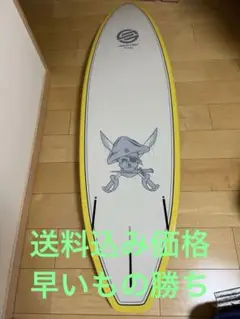 SANTACRUZ Barney Model 5'8\" サーフボード 希少 Santacruz 5'8