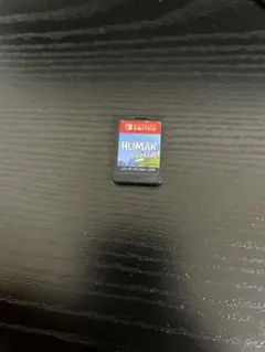 HUMAN Fall Flat Nintendo Switch
