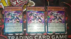 DDカウント・サーベイヤー ノーパラ3枚セット