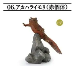 新品未開封☆いきもの大図鑑 両生類02　アカハライモリ レッド
