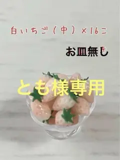 ミニチュア　白いちご　お皿付き