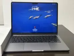 【極美品】MacBook Air M3 256GB 16GB バッテリー充電1回