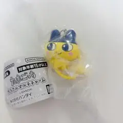 Item thumbnail for item ed3f2ed8-859f-4b6d-bcd0-b56624780ba1