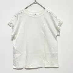 フレンチスリーブトップス/レース コットン100% クルーネック きれいめ 薄手
