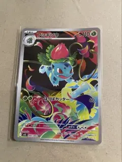 フシギソウ　 AR