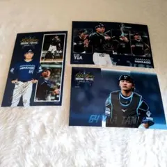 WE LOVE HOKKAIDOユニフォーム　フォト3枚セット　田宮裕涼