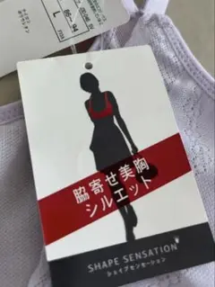 トリンプ　シェイプセンセーション 脇寄せ美胸シルエット