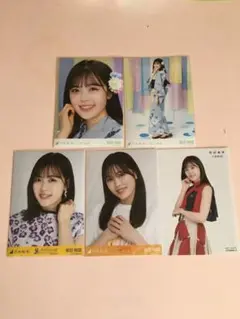 Item thumbnail for item 951a602b-d56b-458f-8683-3bc1567649e3