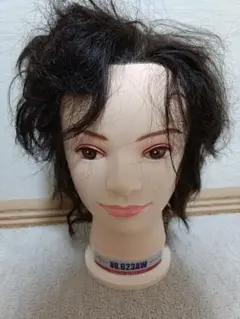 【美容師国家試験】オールウェーブ用ウィッグ 美容師 マネキン ヘアマネキン