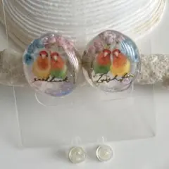 コザクラインコ、ドライフラワー、レジンピアス(o^^o)