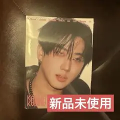 KARMA 新品未開封 アルバム CD アコーディオン チャンビン