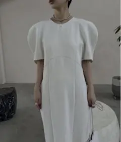 桐谷美玲×AMERI TULIP SLEEVE I LINE DRESS 桐谷美玲さんコラボアイテム👗 AMERI TULIP SLEEVE I LINE DRESS