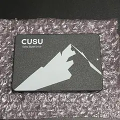 2.5インチ 謎のSSD 512GB 一応動作確認済み