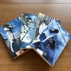 凶器は壊れた黒の叫び　いなくなれ、群青　君の世界に青が鳴る　など４冊