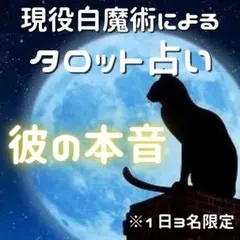 【白魔術タロット】 縁結び 片思い 子宝 復縁 恋愛 不倫 占い 結婚 同性愛