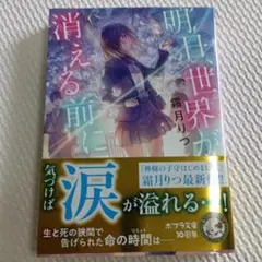 明日、世界(キミ)が消える前に