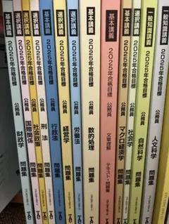 【新品未使用】TAC 公務員試験　地方上級　問題集　参考書　まとめ