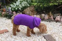 犬用バスローブ フード付き タオル生地　超吸収　Sサイズ　小型犬