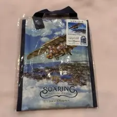 [新 品]ディズニーシー　ディズニー　レジャーシート　ソアリン