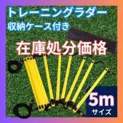 ▲トレーニング ラダー 5m 10枚 サッカー 陸上 フィットネス 球技の練習