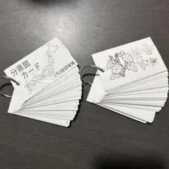 Item thumbnail for item 05d2a324-aa4f-4d42-9531-5735d12b4cd7