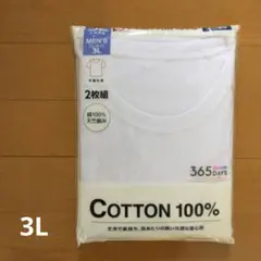 メンズ　Tシャツ　天竺編み　丸首　コットン100% 3L 2枚組　白