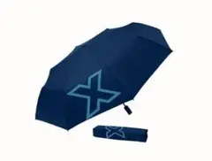 Item thumbnail for item 64f1ecd6-8f72-46cb-859e-7e48a1b1b83c