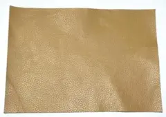 Item thumbnail for item 31832767-6895-478c-b9ee-9f67300ad54f