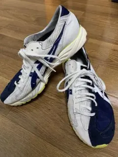 asics スカイセンサー(オーダーシューズ)26.0cm