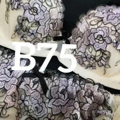 ブラジャーレディースショーツセット 下着 上下 少し訳あり アウトレット