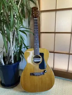 Ganson SG 70年代ジャパンビンテージ Ganson SG 70年代ジャパンビンテージ - メルカリ