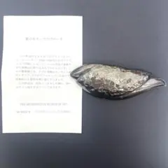 【メトロポリタンミュージアム】ブローチ（オリーブ） MMA メトロポリタン ミュージアム アート オリーブ リーフ
