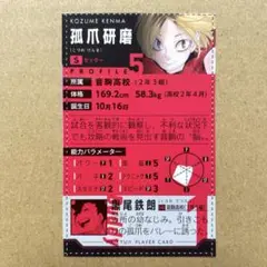 ハイキュー プロフィールカード 特典 付録 ジャンプフェア 黒尾鉄朗 孤爪研磨