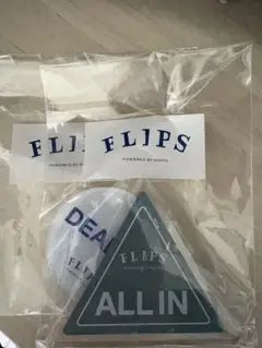 FLIPSヨコサワサイン入り