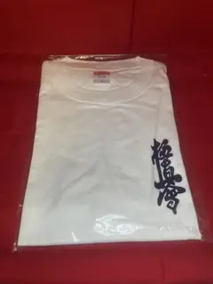 新品★極真空手Tシャツ（白）★Mサイズ
