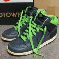 Nike DUNK high ナイキ ダンク ハイ 317982-031
