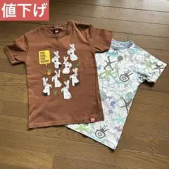 LEGO ウサギデザイン Tシャツ 海の生物Tシャツ 2枚セット140㎝、