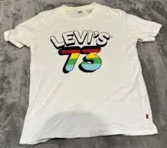 LEVI'S カラフルロゴ Tシャツ