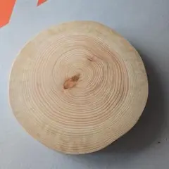 檜　切り株
