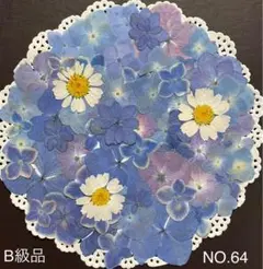 B級品の訳あり品☆押し花素材☆花材